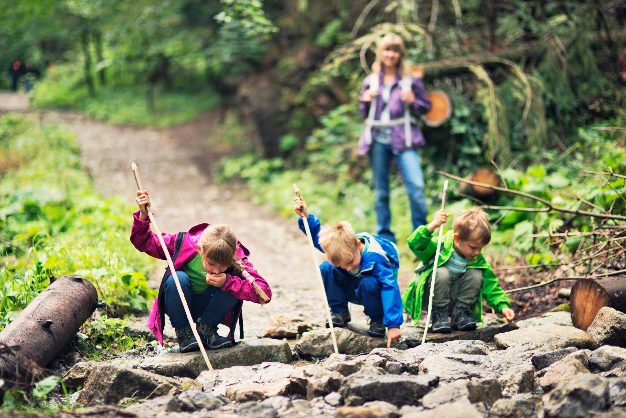Children exploring outdoors during an educational adventure